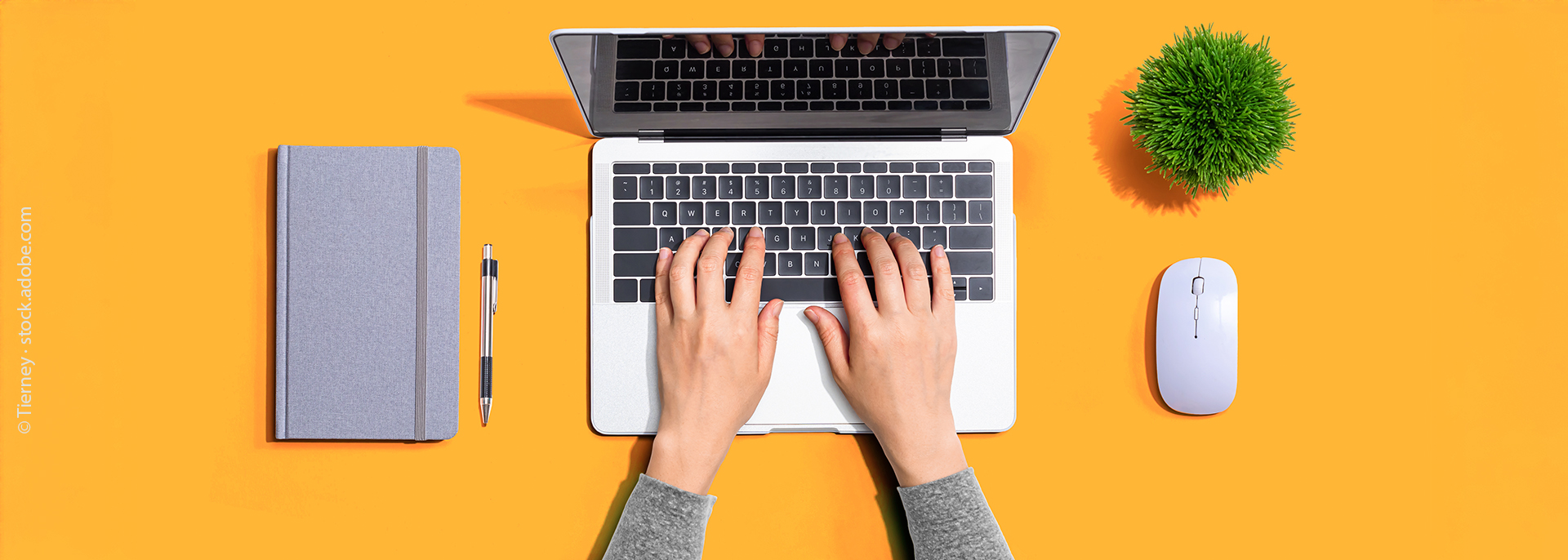 Person using a laptop computer Schreibtisch mit Laptop, Maus, Notizblock, Blume<br />
Freue tippt auf dem Laptop